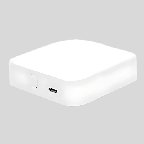 Smart Gateway Zigbee Hub with 2.4GHz WiFi & Device Control - Amuse Tech Solutions