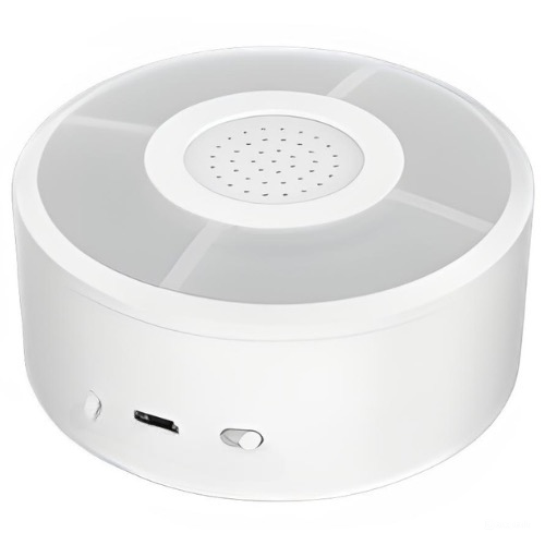 Indoor Smart Wireless Alarms Siren with Loud Alarm Sound - Amuse Tech Solutions