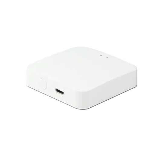 IOT Smart Home Zigbee Wireless Gateway < 1 A with 2.4 G Wi-Fi, BLE 5.0, Mesh - Amuse Tech Solutions